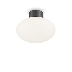 Outdoor ceiling luminaire CLIO, IP44, E27, without cover, aluminium, anthracite