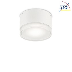 Outdoor wall / ceiling luminaire URANO SMALL,  12cm, GX53 max. 15W, aluminium / acrylic, matt white