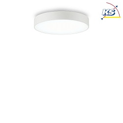 LED ceiling luminaire HALO, direct-indirect, IP20,  35cm, 25W 4000K 2500lm