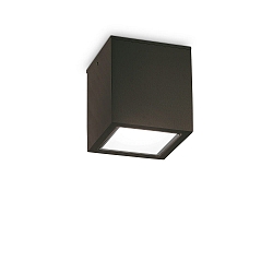 Outdoor Deckenleuchte TECHO BIG, 1xGU10, IP54, schwarz
