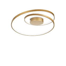 ceiling luminaire OZ PL DALI/PUSH round, DALI controllable IP20, brushed brass dimmable