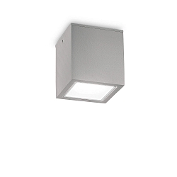 Outdoor Deckenleuchte TECHO BIG, 1xGU10, IP54, grau