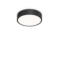 ceiling luminaire RAY 35 IP44, black dimmable