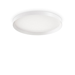 ceiling luminaire FLY PL D60 IP40