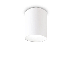 ceiling luminaire NITRO D08 round IP20, white 