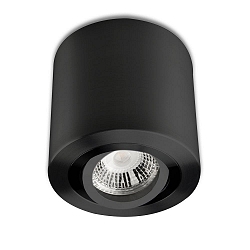 Ceiling luminaire for GU10 / MR16, round, IP20, swivelling, excl. socket, excl. lamps