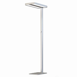LED Office Pro standing luminaire Up+Down, 40+40W, with light & motion sensor, UGR<19, neutral white, dim-control