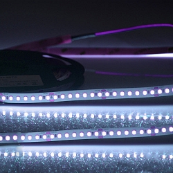 LED CRI FOOD Flexband FISH, IP54 Nano beschichtet, 24V, 14.4W 11600K, CRi 75, dimmbar