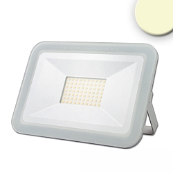 LED Fluter PAD 50W, IP65, SMD, Alu-Druckguss, wei�, 50W 3000K 4870lm 120�, 100cm Kabel (offen)