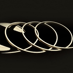 fully siliconised LED strip NEONPRO940 CUSTOM B04H08 2-pole