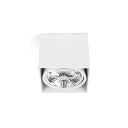 ceiling luminaire TECTO G53 IP20, white matt
