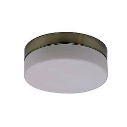 Outdoor LED Deckenleuchte IKARO, IP44, zylindrisch, � 18cm, 12W 2950K 960lm, dimmbar, Mattglas, stahl geb�rstet