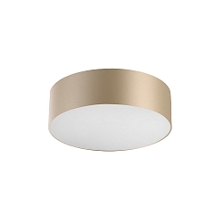 wall and ceiling luminaire CAPRICE LED IP23, dimmable