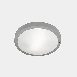 Deckenleuchte IP66 BASIC LED 11,7W 2700K grau 1269lm