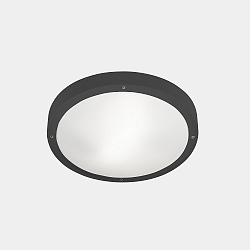 Deckenleuchte IP66 BASIC LED 11,7W 2700K ANTHRAZIT 1269lm