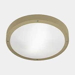 Deckenleuchte IP66 BASIC LED 21,4W 2700K schwarz 2606lm