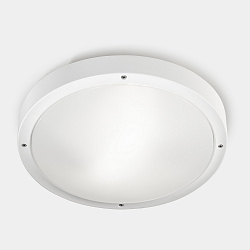 wall and ceiling luminaire BASIC LED IP66