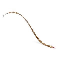 light tube ON BASIC LED RGB