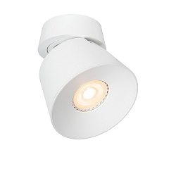 Aufbau-Deckenstrahler TRIGONO, 1-flammig, Spot konisch, � 10.5 cm, GU10 (PAR16), dreh- und schwenkbar, Metall, wei�