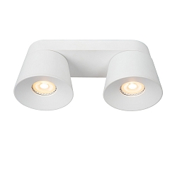 Aufbau-Deckenstrahler TRIGONO, 2-flammig, Spots konisch, 2x GU10 (PAR16), dreh- und schwenkbar, Metall, wei�