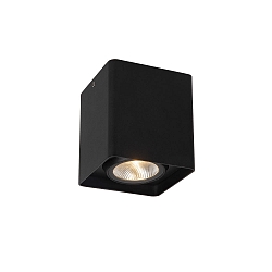 outdoor ceiling luminaire LEEDS IP54, black 
