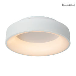 ceiling luminaire MIRAGE 38 IP20, white dimmable