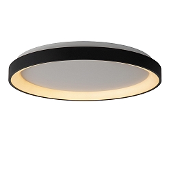 ceiling luminaire VIDAL LED round IP20, opal, black dimmable