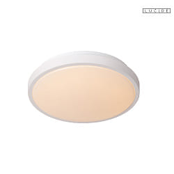 ceiling luminaire DASHER 30 IP44, opal, white 