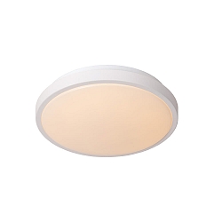 ceiling luminaire DASHER 30 IP44, opal, white 