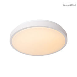 ceiling luminaire DASHER 35 IP44, opal, white 