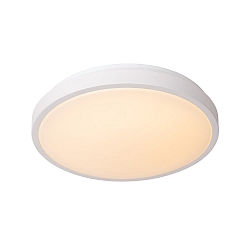 ceiling luminaire DASHER 35 IP44, opal, white 