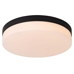 ceiling luminaire BISKIT 35 IP44, opal, black 