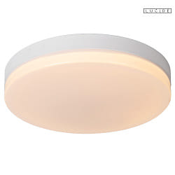 ceiling luminaire BISKIT 40 IP44, opal, white 