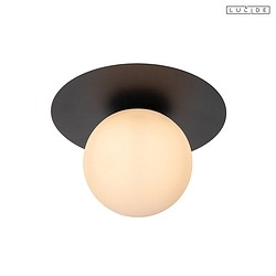 ceiling luminaire TRICIA round E27 IP20, opal, black