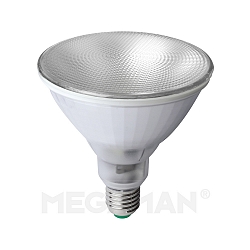 Outdoor LED Pflanzenlampe Reflektorform PAR38, IP55, E27, 12W PT-spezial, klar strukturiert
