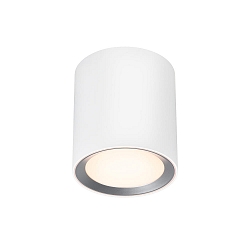 LED Badleuchte LANDON LONG, 6,5W, 2700K, 600lm, dimmbar, IP44, wei�