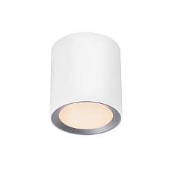 ceiling luminaire LANDON LONG SMART app control IP44, white dimmable