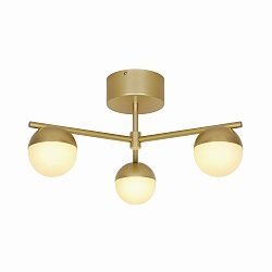 ceiling luminaire CONTINA 3 flames G9 IP20, brushed brass dimmable