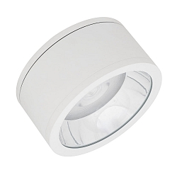 DOWNLIGHT SURFACE IP65 DN 250 P 45W 840 60D WT