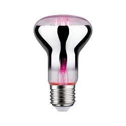 LED Wachstumslicht-Filament / Grow Green Reflektor R63, 230V, E27, 6.5W 1300K 200lm 106�