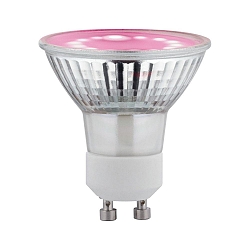 LED Reflektorlampe PLANT, 110�, GU10, 3,5W, 1100K, 95lm, 230V