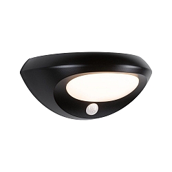 solar wall luminaire SOROVA PIR with sensor IP44, anthracite, transparent 
