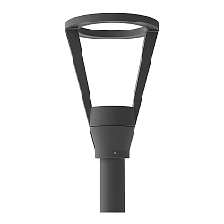 LED Mastleuchte HEDO+ C/EW, 21W, 3000K, 2080lm, IP65, IK09, statisch, anthrazit / Glas opal