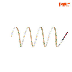 Radium LED Strip RaLED Star TWW 2000, IP00, 24Vdc, 140 LED/m, 19.2W/m 2200-4000K 1950lm/m 120, 5000cm x 1cm