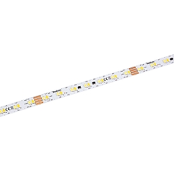 LED STAR STRIP 3100 TUNABLE WHITE, 21W/m, 2700/6500K, 3100lm/m, 24V 50M