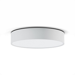 surface luminaire DISC IP20, white dimmable