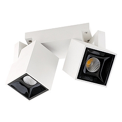 LED Deckenleuchte NUGOGGLE, 2-flammig, 18W 2700K 1066lm, CRI>90, dimmbar, Alu Druckguss, Wei�