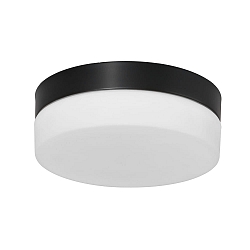 Outdoor LED Deckenleuchte IKARO, IP44, zylindrisch, � 24cm, 18W 290K 1440lm, dimmbar, Mattglas, stahl geb�rstet
