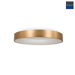 ceiling luminaire RINGLEDE -  38CM round, medium, direct / indirect IP20, gold dimmable