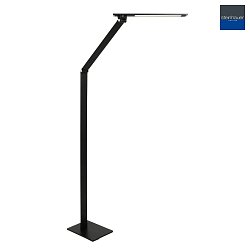 floor lamp SERENADE CCT Switch, adjustable, with touch dimmer IP20, black matt dimmable